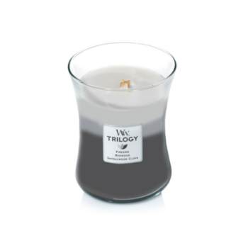 Capture d’écran 2020 12 30 à 12.38.51