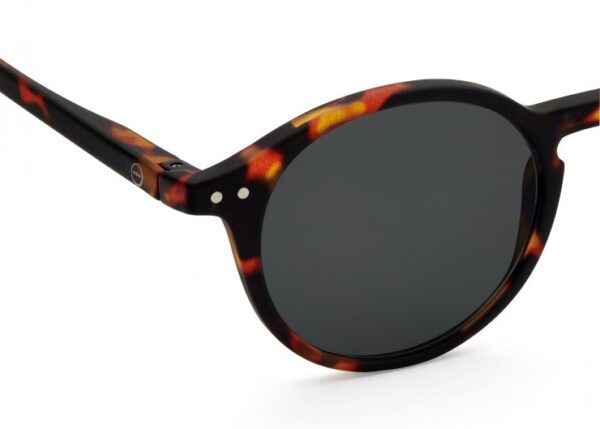 Lunettes SUN de lecture D Tortoise Izipizi