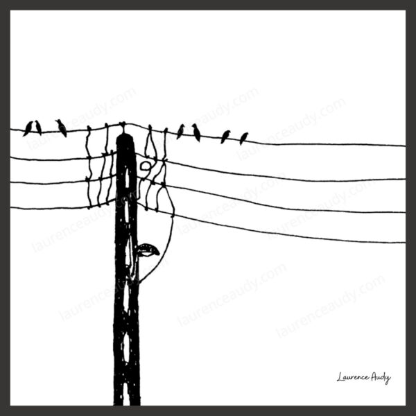 Dessin N&B Oiseaux N°5 par Laurence Audy