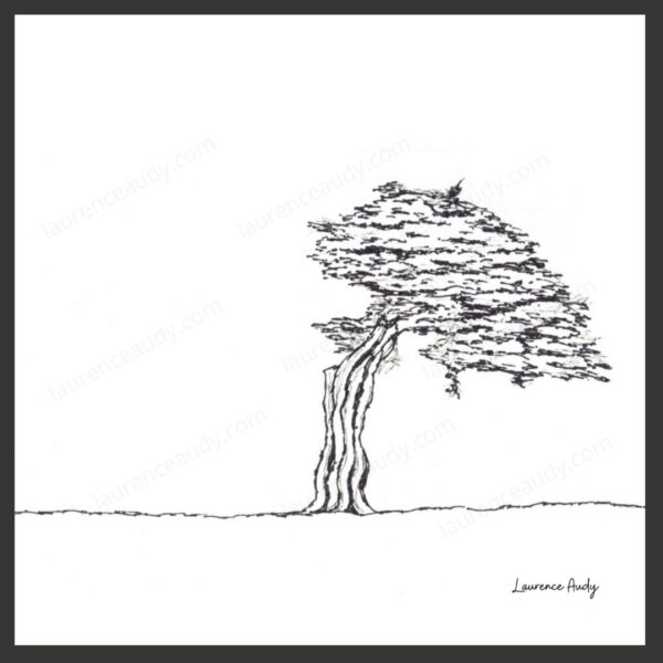 Dessin N&B Arbre N°3 par Laurence Audy