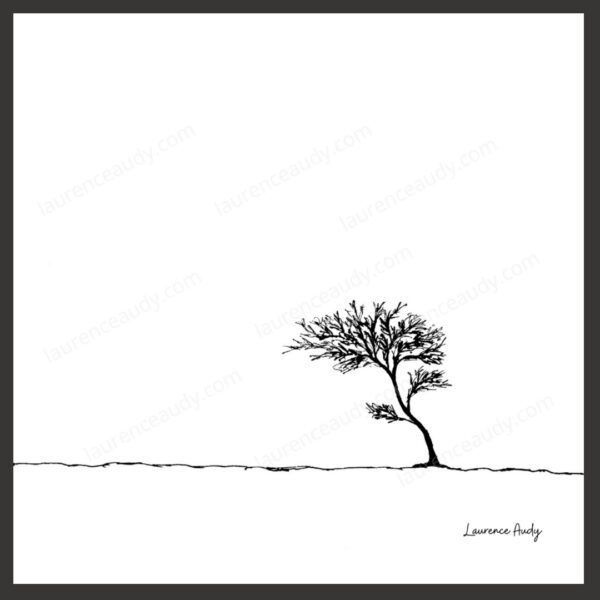 Dessin N&B Arbre N°5 par Laurence Audy