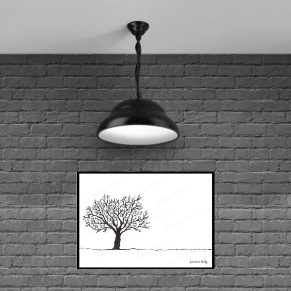Dessin N&B Cocci sapin N°2 par Laurence Audy