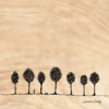 BOIS ARBRE 02 20X20 BOIS ARBRE 02 20X20