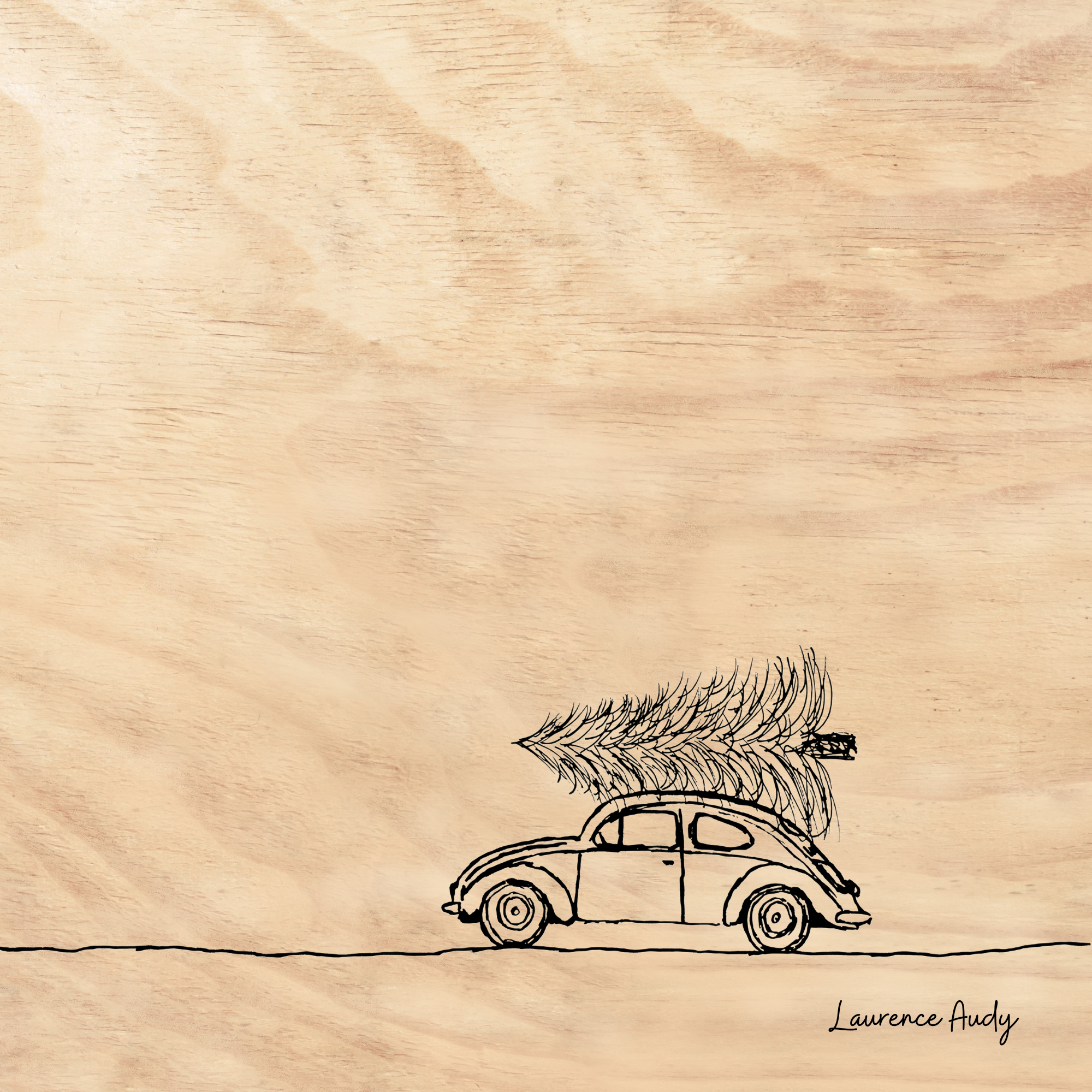 BOIS COCCI SAPIN 02 20X20 BOIS COCCI SAPIN 02 20X20