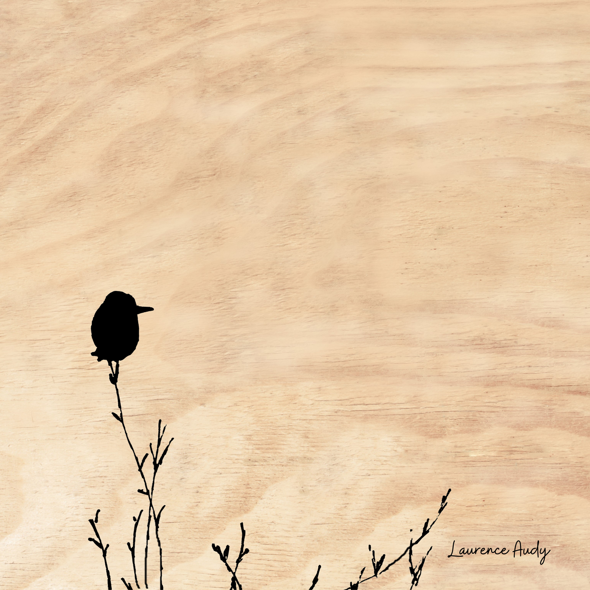 BOIS OISEAUX 02 20X20