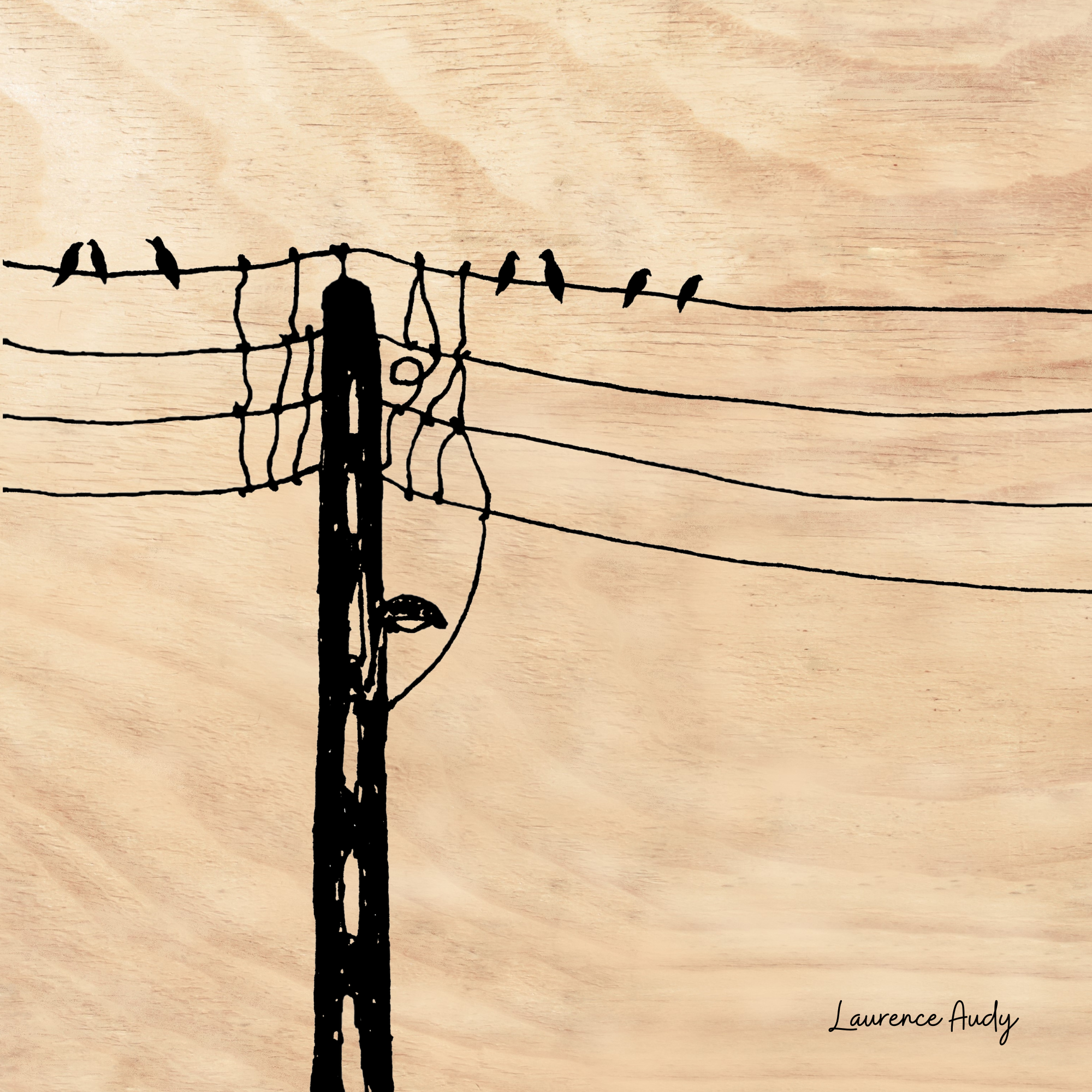 BOIS OISEAUX 05 20X20