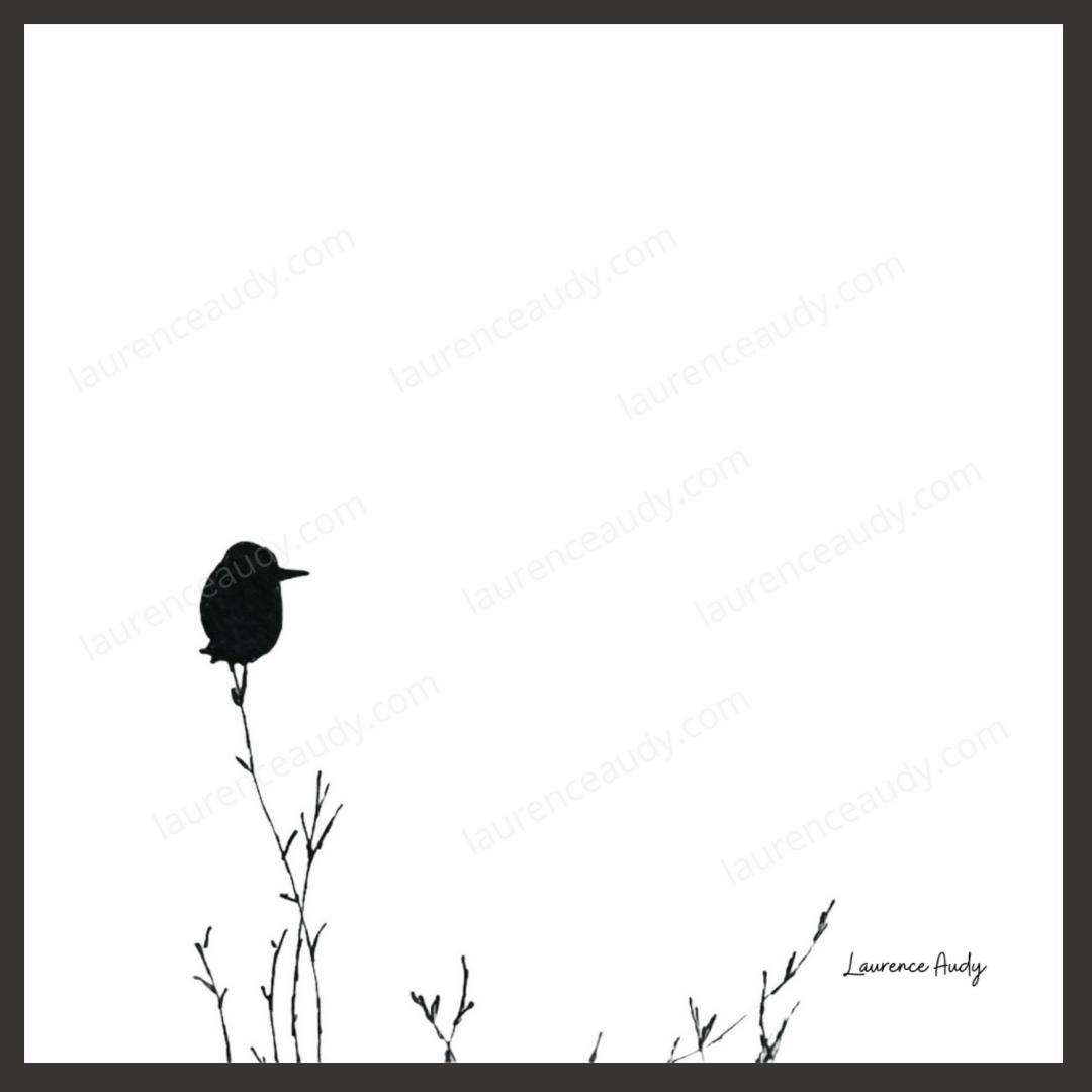 NB OISEAUX 02 CARRE filigrane kawaï noir